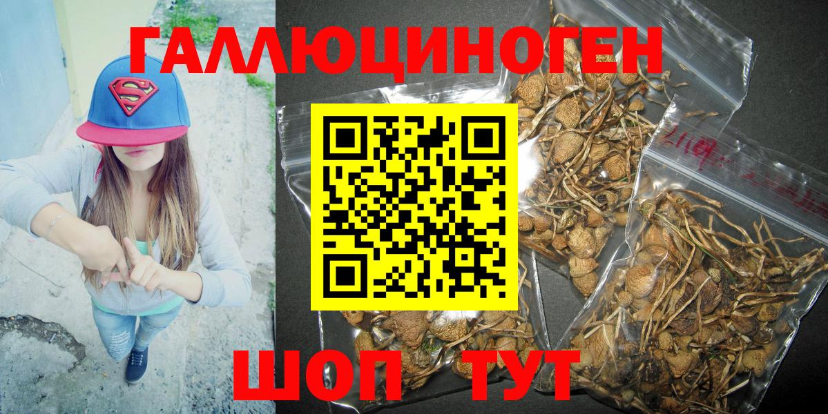 Псилоцибиновые грибы мухоморы Нарьян-Мар